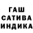 Марихуана сатива Tim Boom