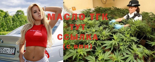 сатива Алзамай