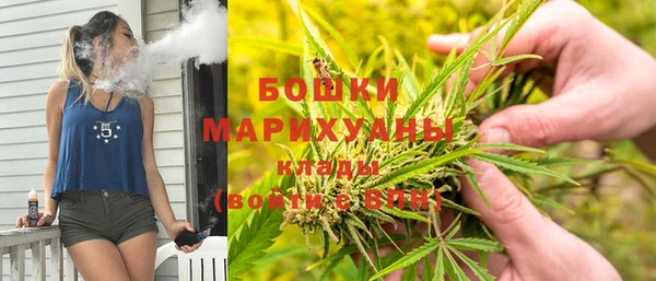 сатива Алзамай