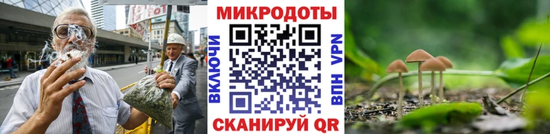 Галлюциногенные грибы Magic Shrooms  что такое   Щигры 